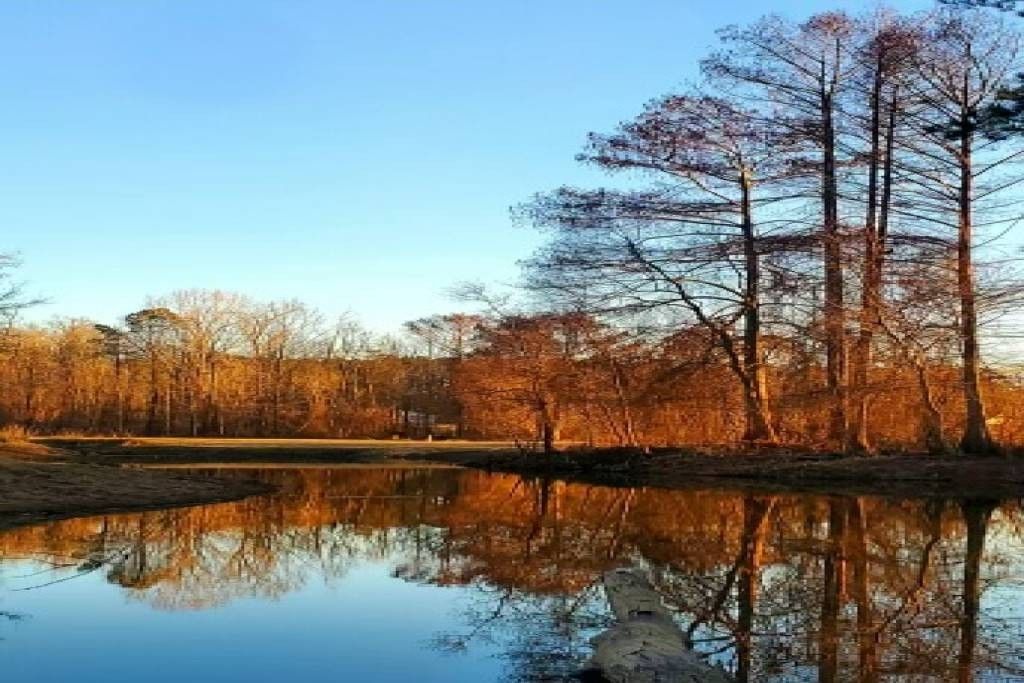 Many, Sabine Parish, LA Lakefront Property, Waterfront Property, House