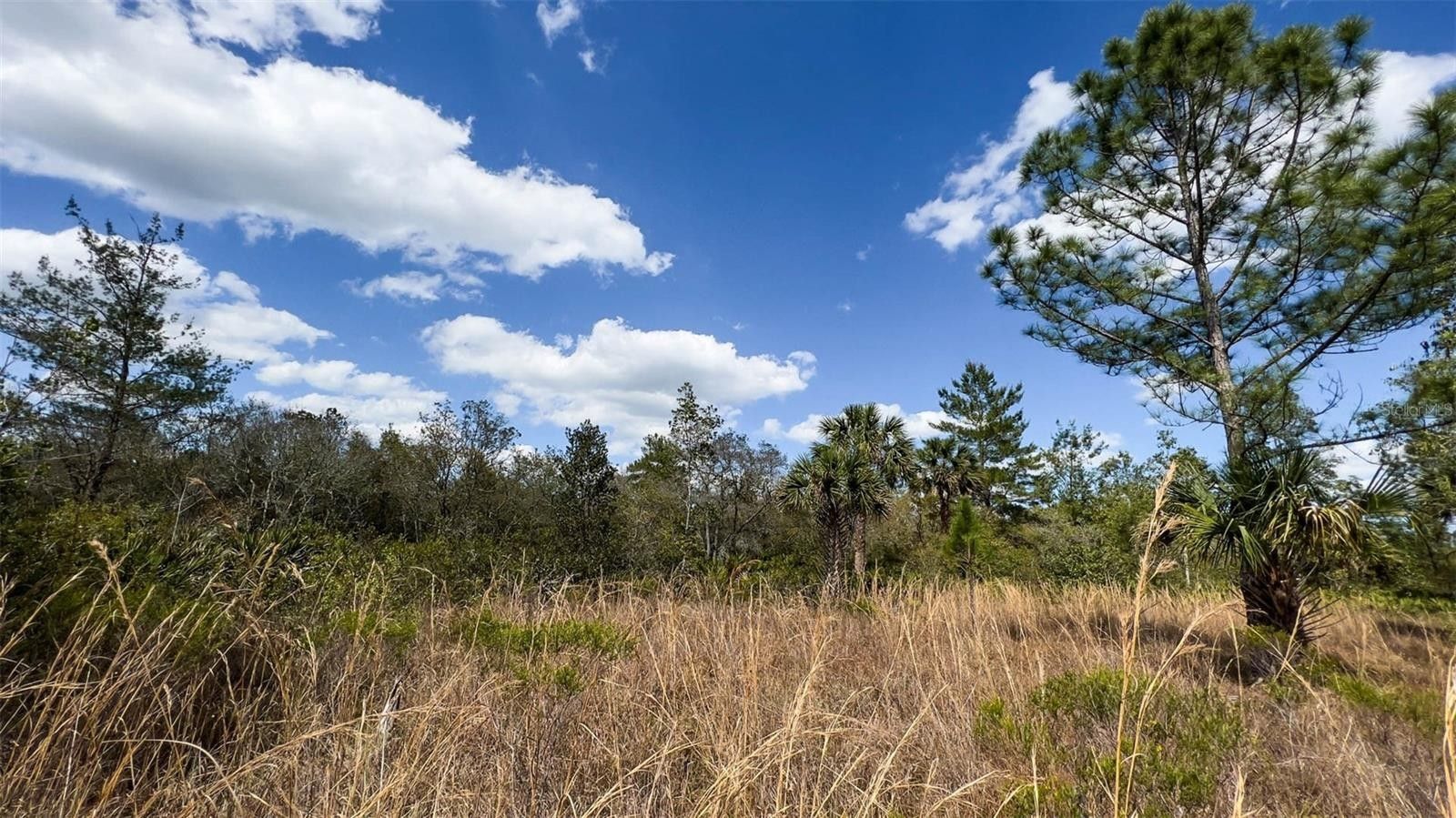 Deland, Lake County, FL Undeveloped Land for sale Property ID