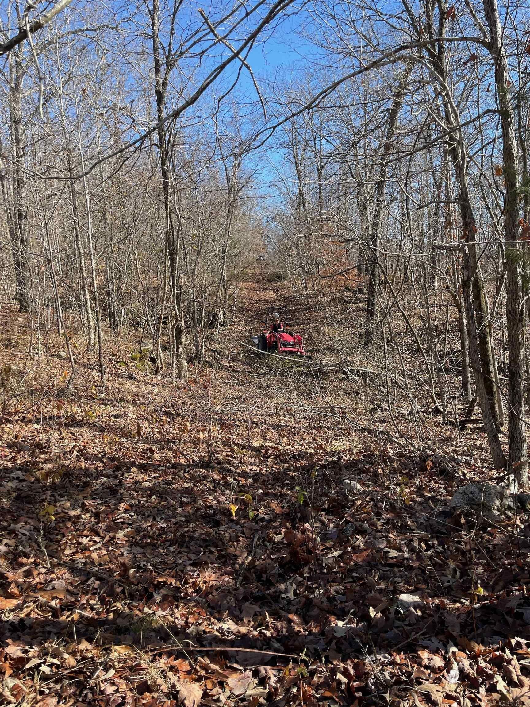 Williford, Sharp County, AR Undeveloped Land for sale Property ID