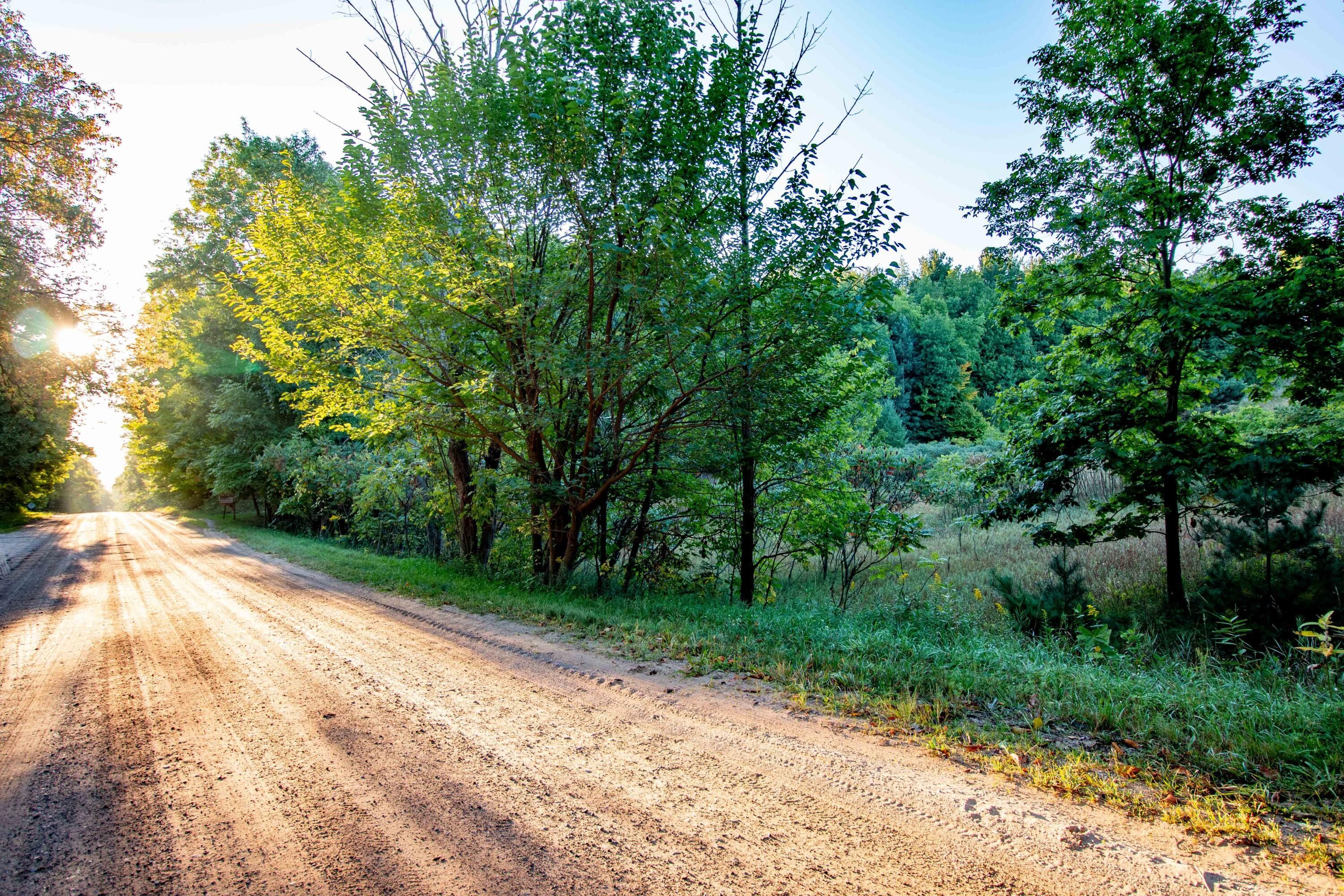 Hart, Oceana County, MI Undeveloped Land for sale Property ID