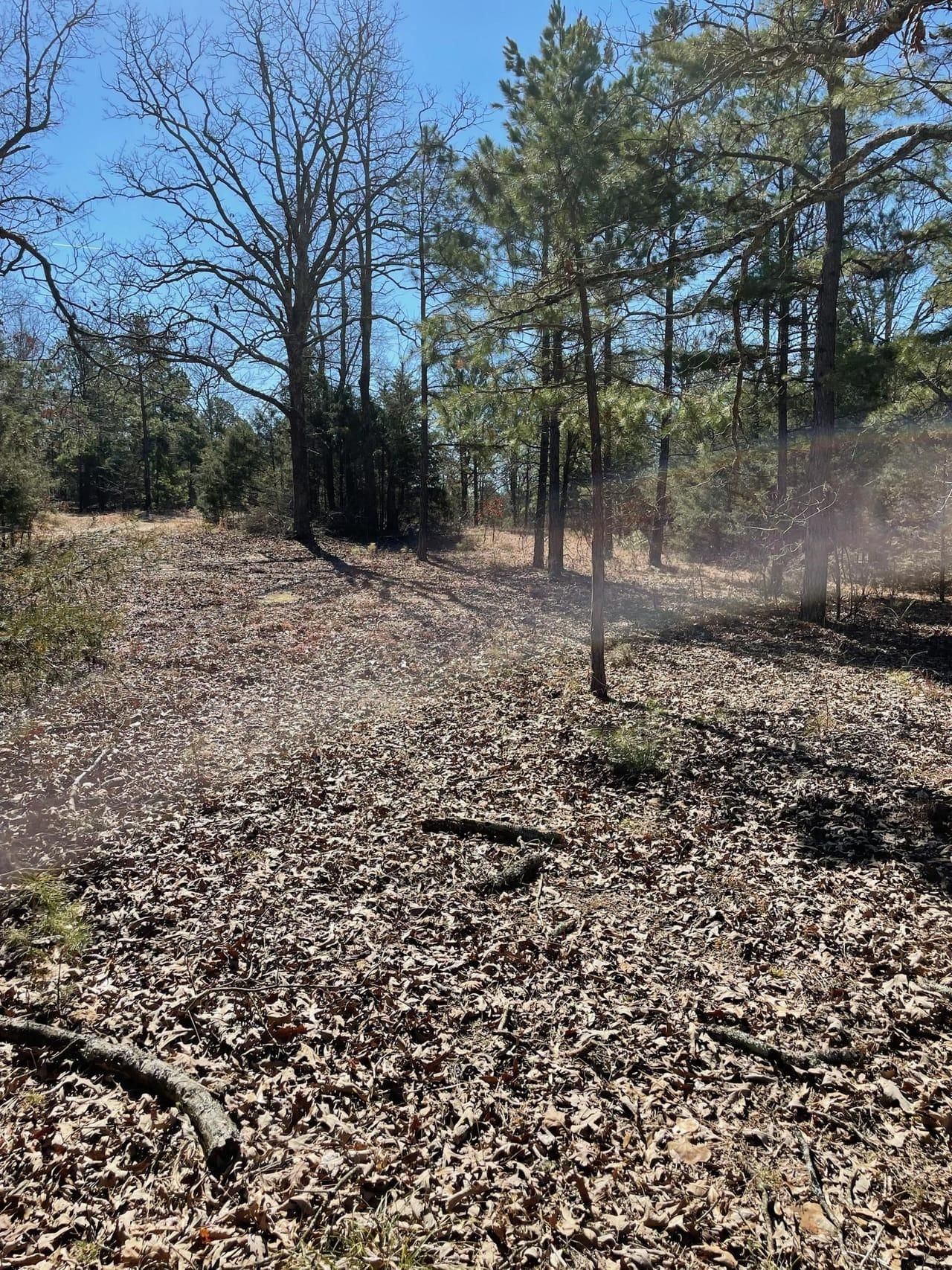 Cave City, Sharp County, AR Recreational Property, Hunting Property for