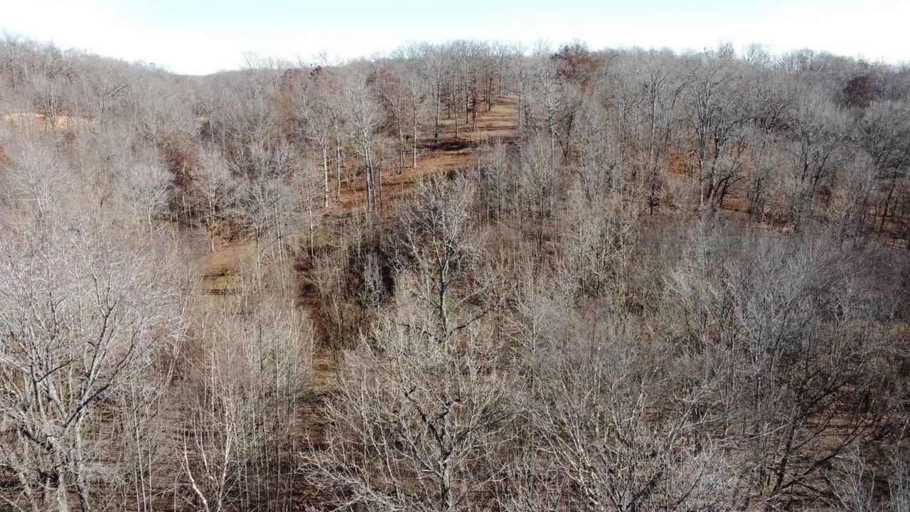 Poplar Bluff, Butler County, MO Recreational Property, Undeveloped Land