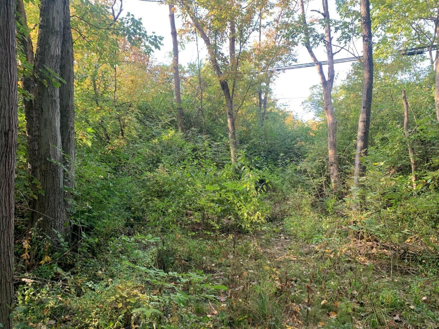 Cincinnati, Hamilton County, OH Undeveloped Land, Homesites for sale