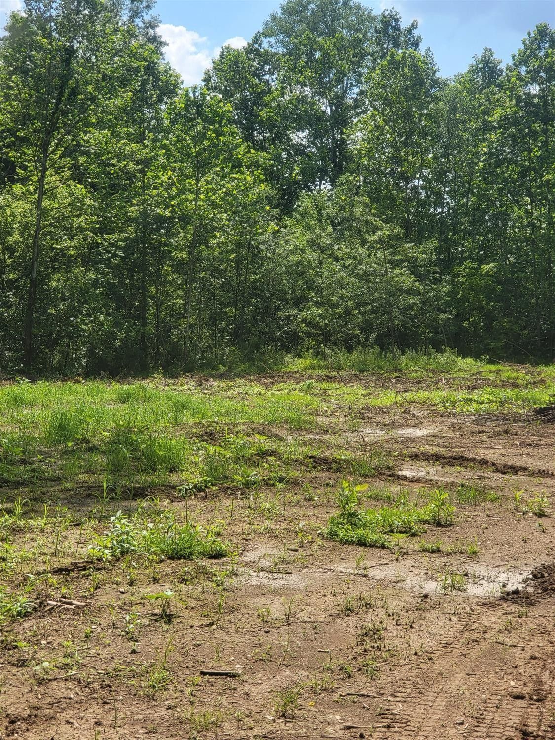 Blanchester, Clinton County, OH Undeveloped Land for sale Property ID