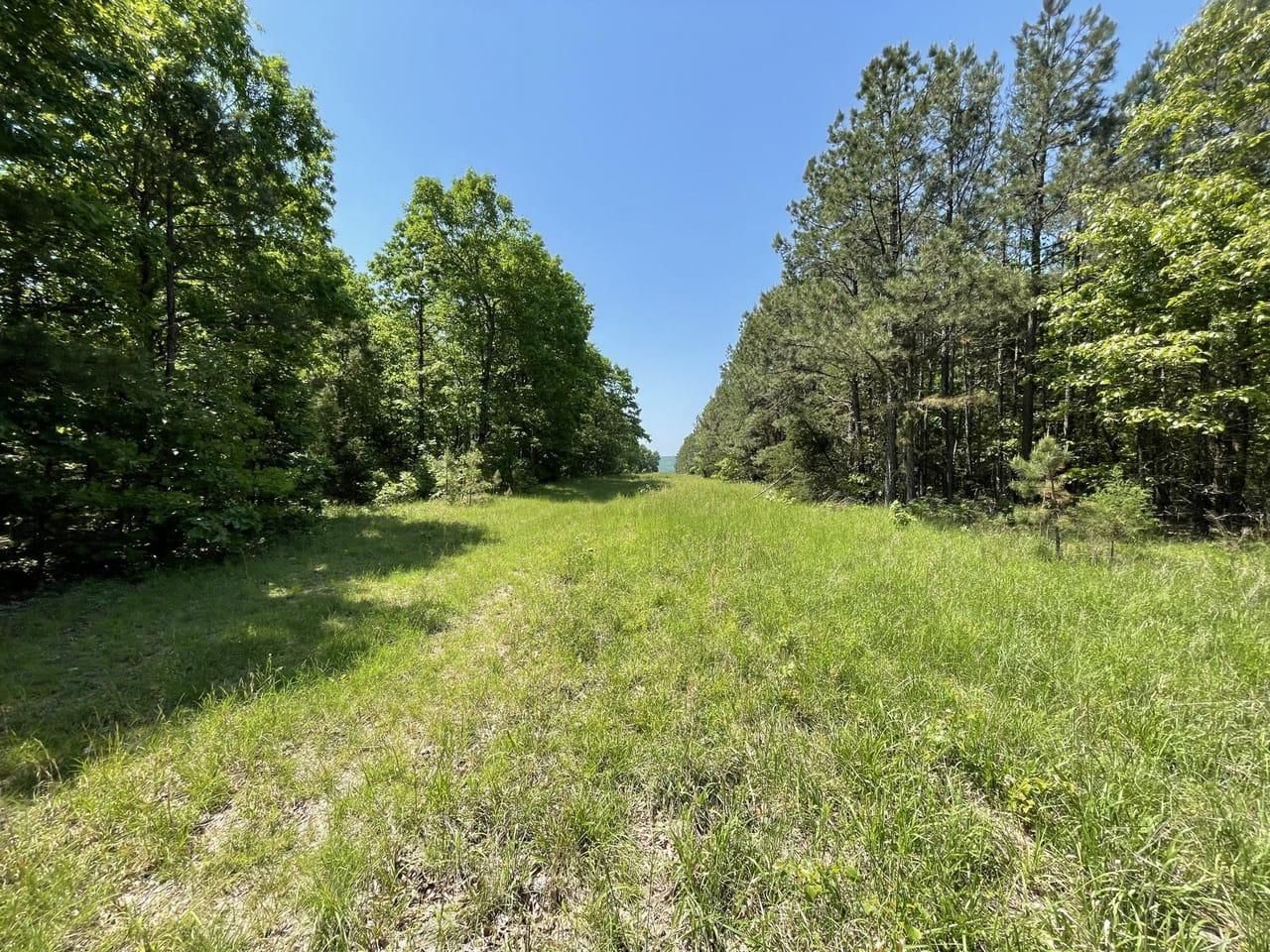 Turkey Creek, Stone County, AR Recreational Property, Undeveloped Land