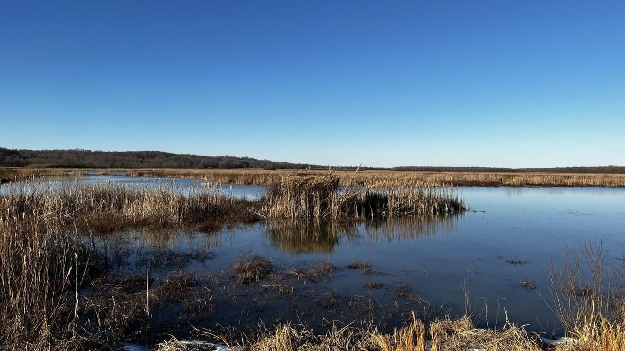 Forrest City, Lee County, AR Recreational Property, Hunting Property, Riverfront Property