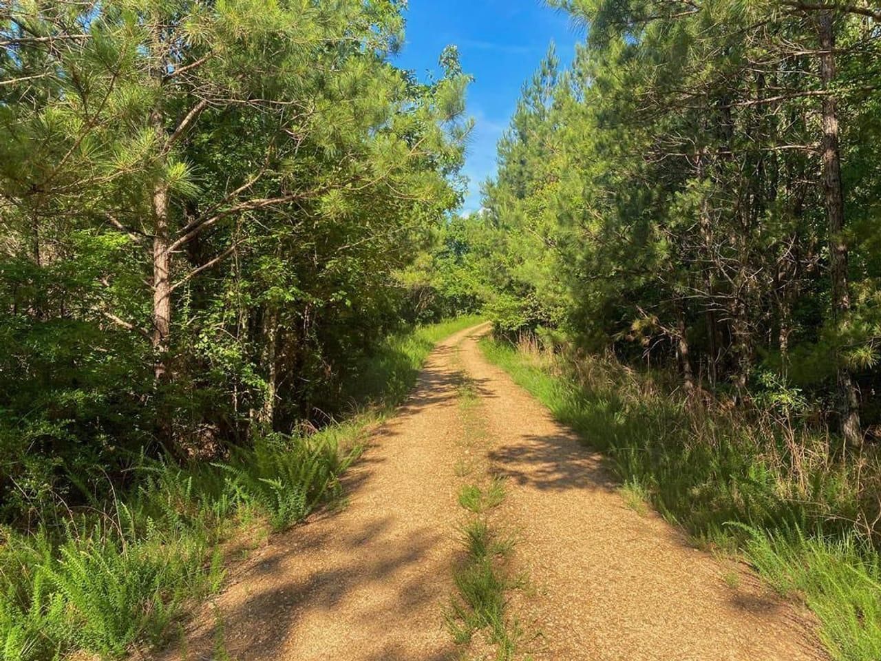 Crosby, Wilkinson County, MS Recreational Property, Timberland Property