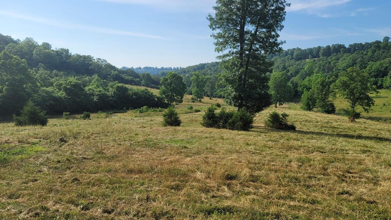 Lead Hill, Boone County, AR Recreational Property, Undeveloped Land, Hunting Property for sale