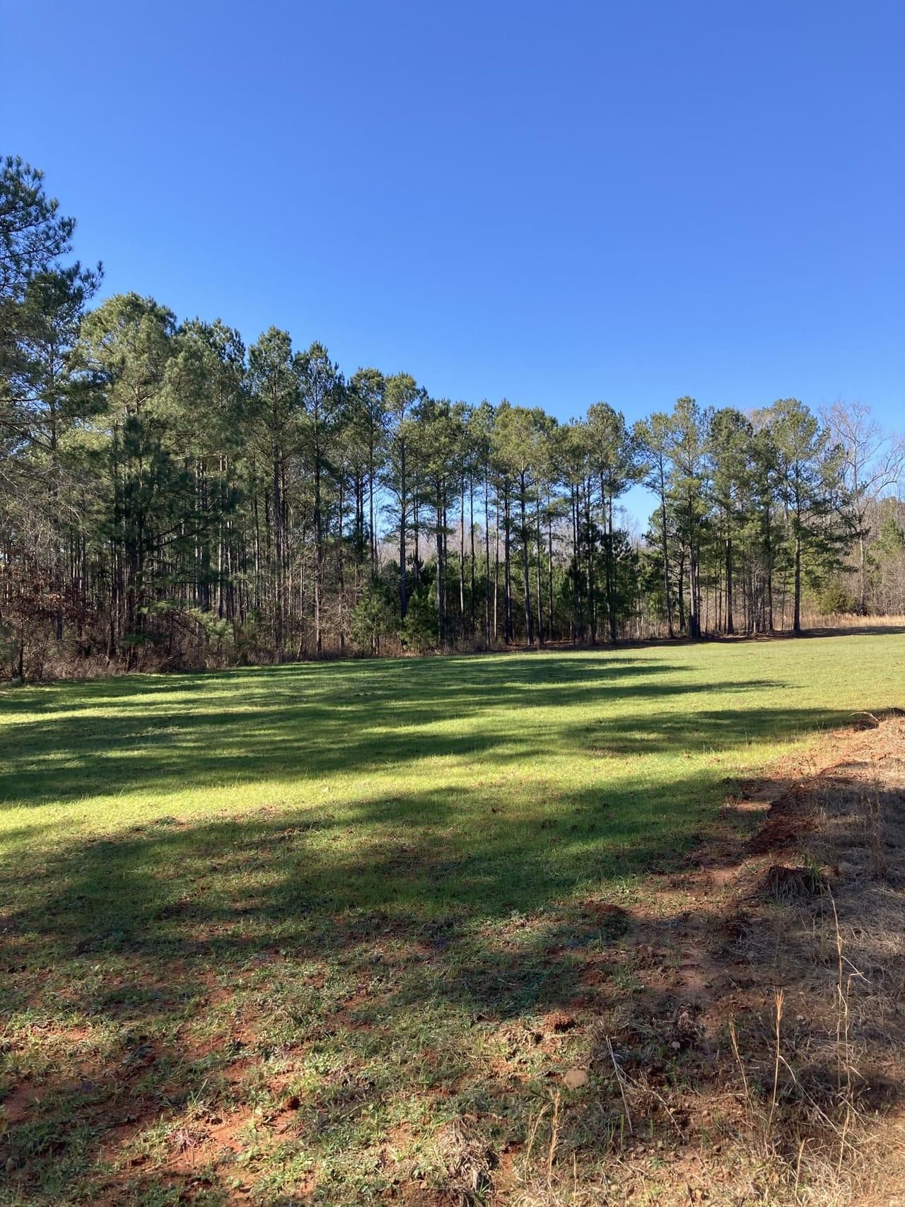 Madison, County, GA Recreational Property, Undeveloped Land