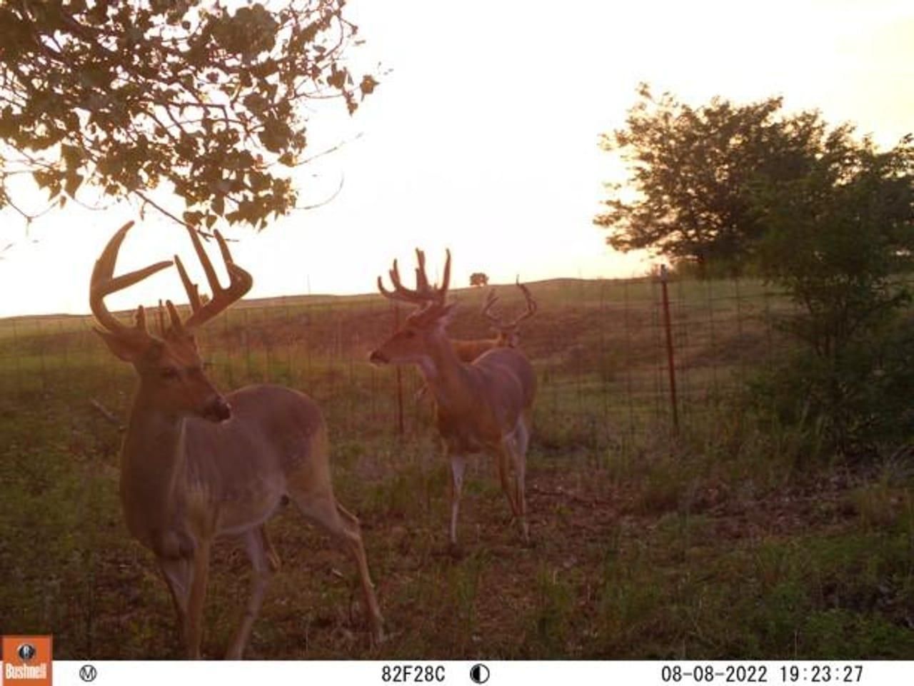 Coldwater, Comanche County, KS Farms and Ranches, Hunting Property