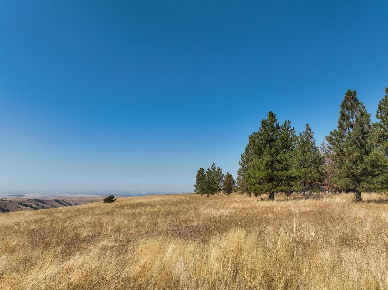 MiltonFreewater, Umatilla County, OR Farms and Ranches, Hunting