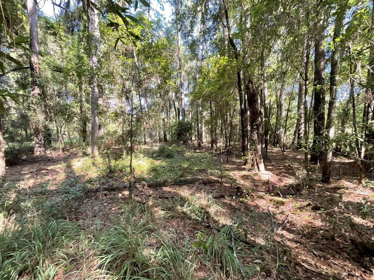 Live Oak, Suwannee County, FL Recreational Property, Homesites for sale