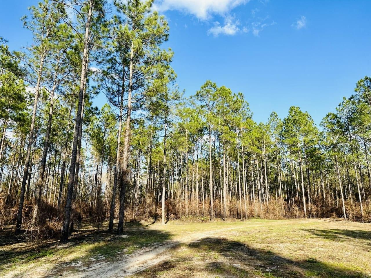 Madison, Madison County, FL Farms and Ranches, Recreational Property