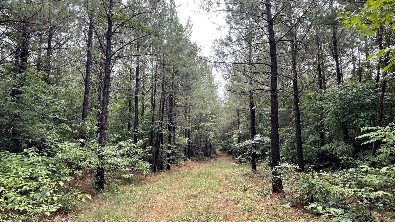 Deeded easement access via Lillie Ln., Pleasant Grove, AR 72567 MLS