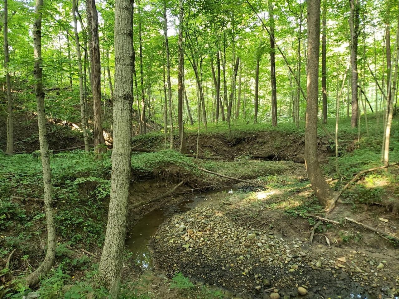 Hillsdale, Vermillion County, IN Recreational Property, Undeveloped
