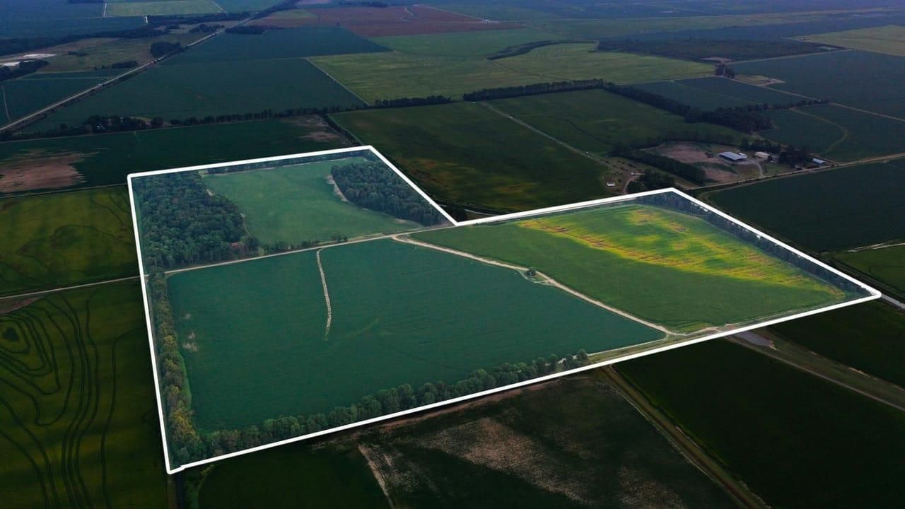 Hunter, Woodruff County, AR Farms and Ranches, Timberland Property