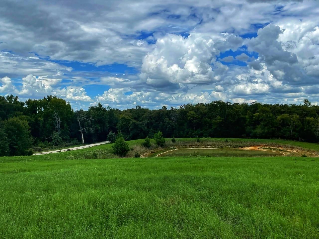 Centerville, Leon County, TX Farms and Ranches, Hunting Property for