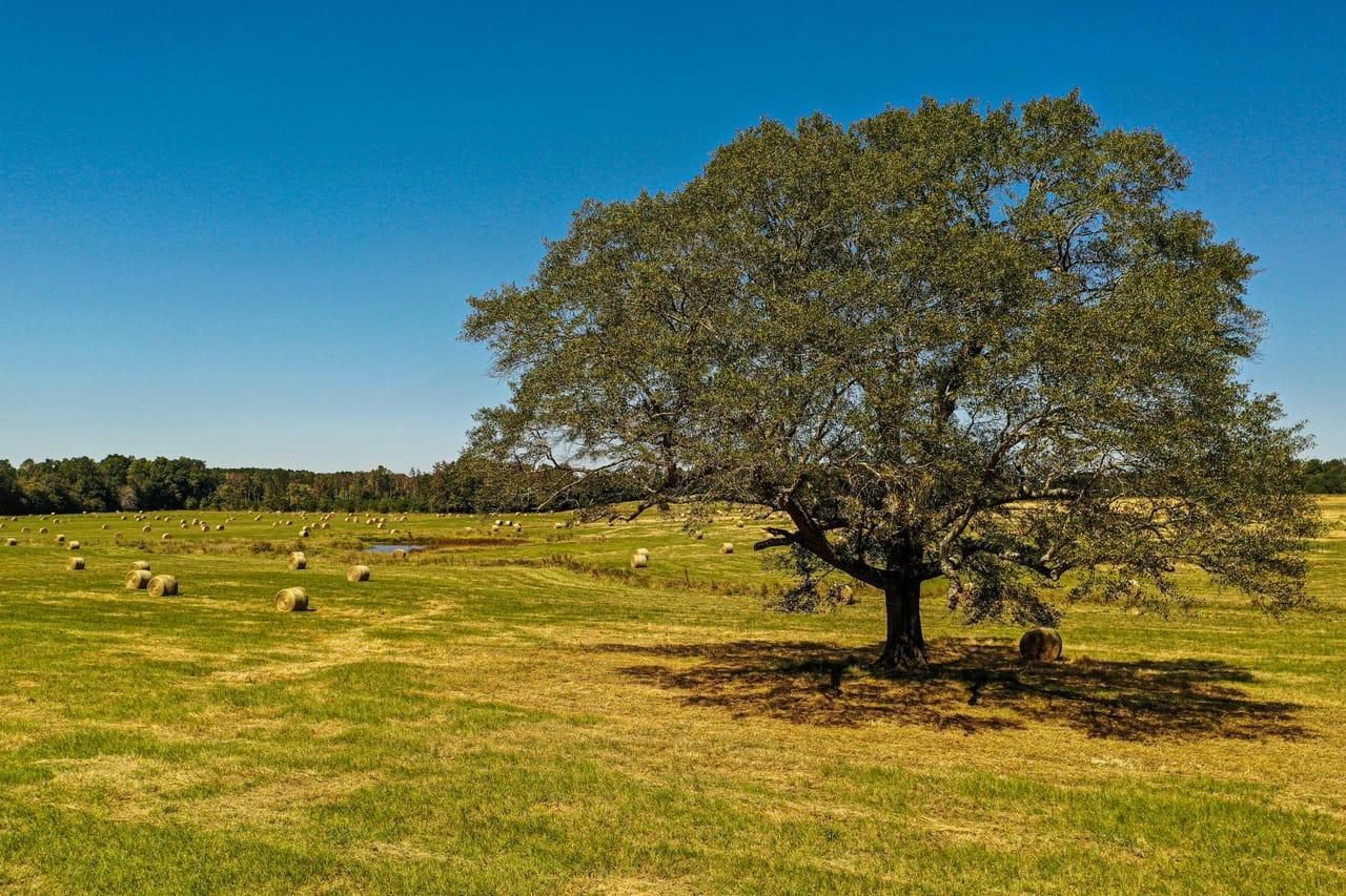 Louisville, Winston County, MS Farms and Ranches, Recreational Property