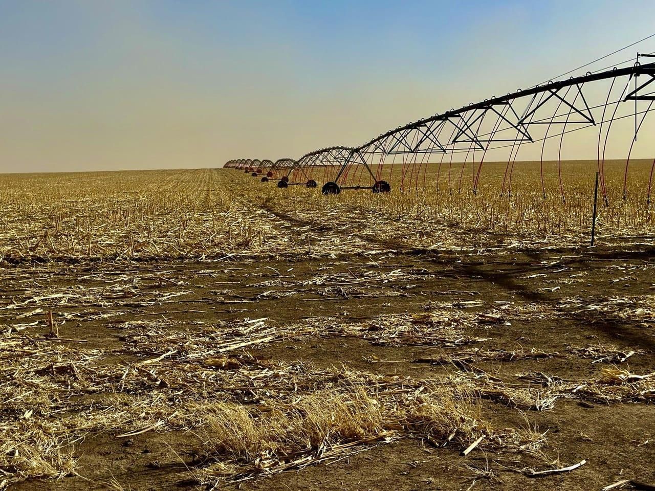 Holly, Prowers County, CO Farms and Ranches, Hunting Property for sale