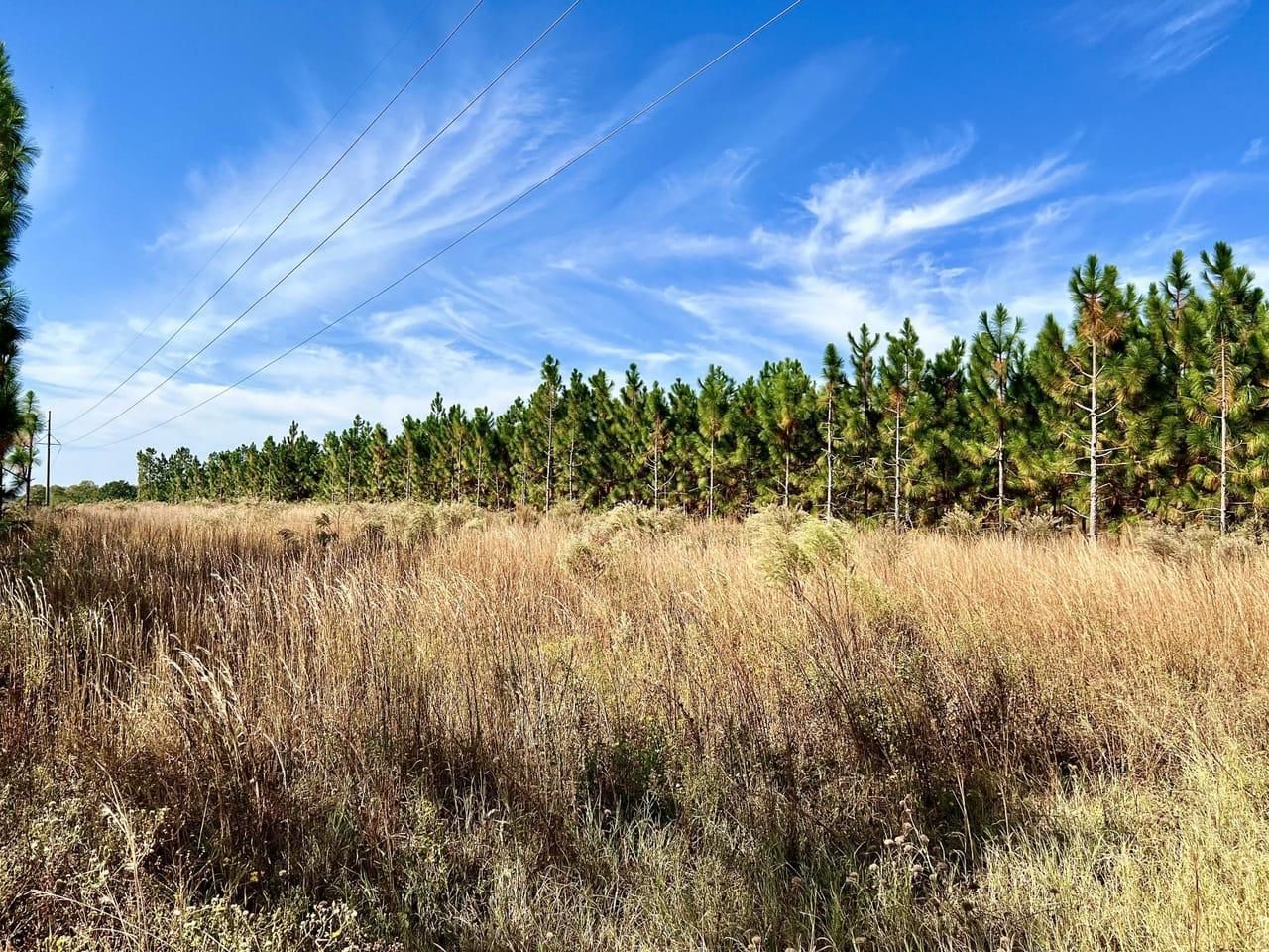 Oglethorpe, Macon County, GA Recreational Property, Timberland Property