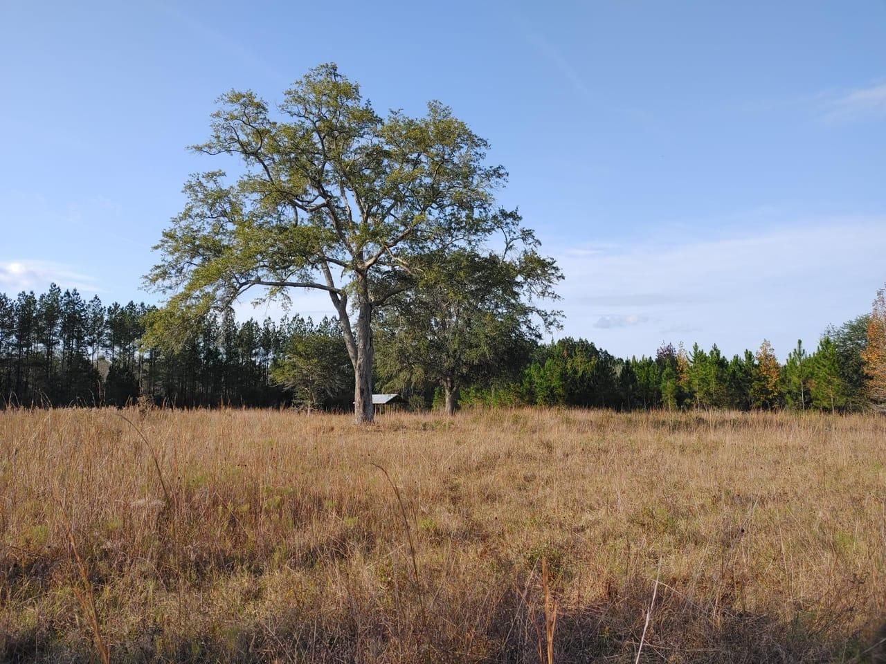 Folkston, Charlton County, GA Farms and Ranches, Recreational Property