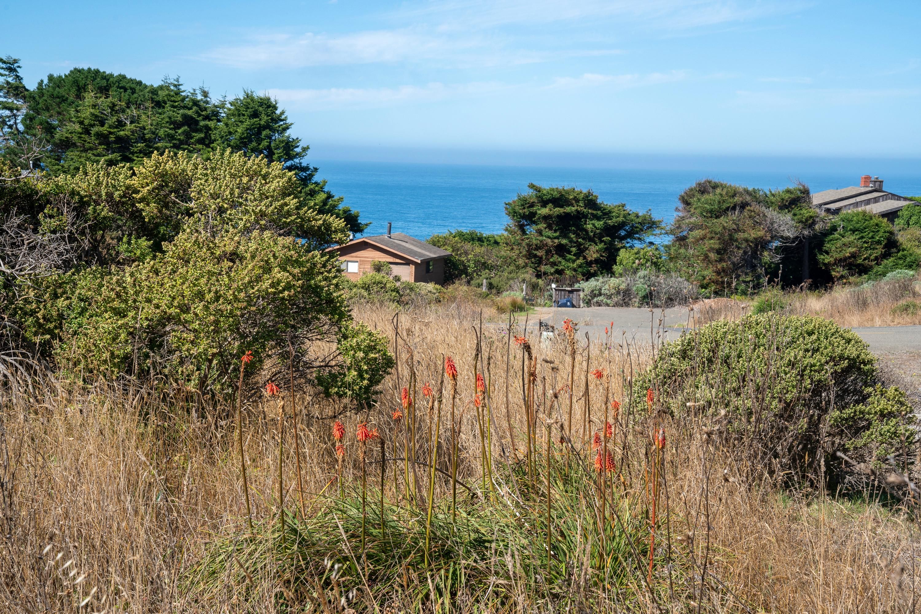 Manchester, Mendocino County, CA Homesites for sale Property ID