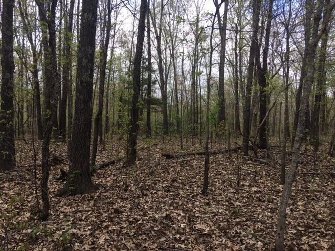 Mountain View, Texas County, MO Recreational Property, Hunting Property