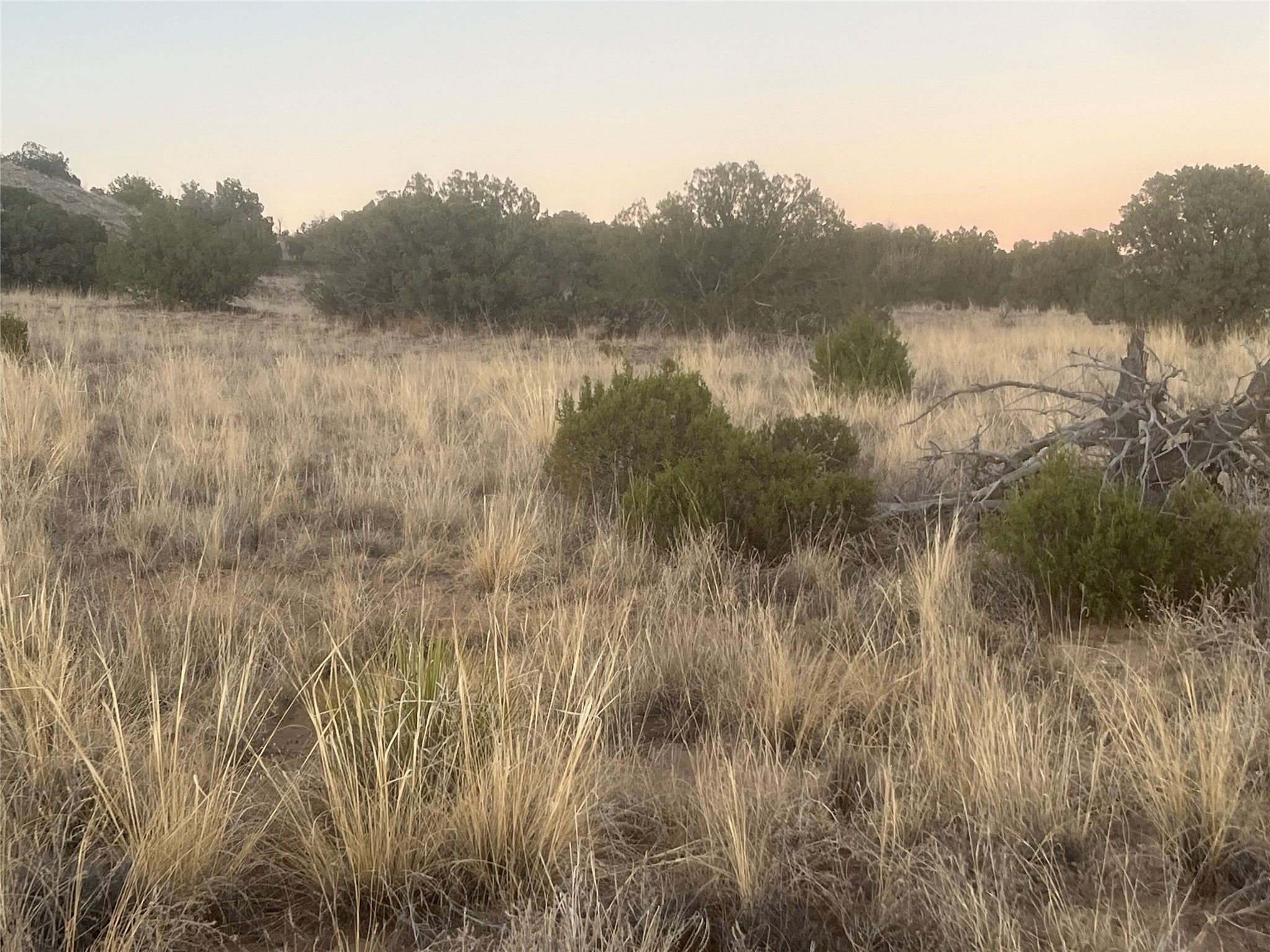 Abiquiu, Rio Arriba County, NM Undeveloped Land for sale Property ID