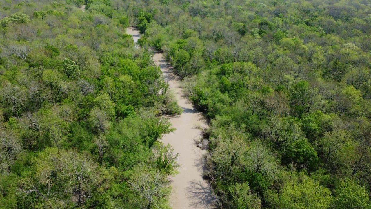 Talco, Franklin County, TX Recreational Property, Hunting Property