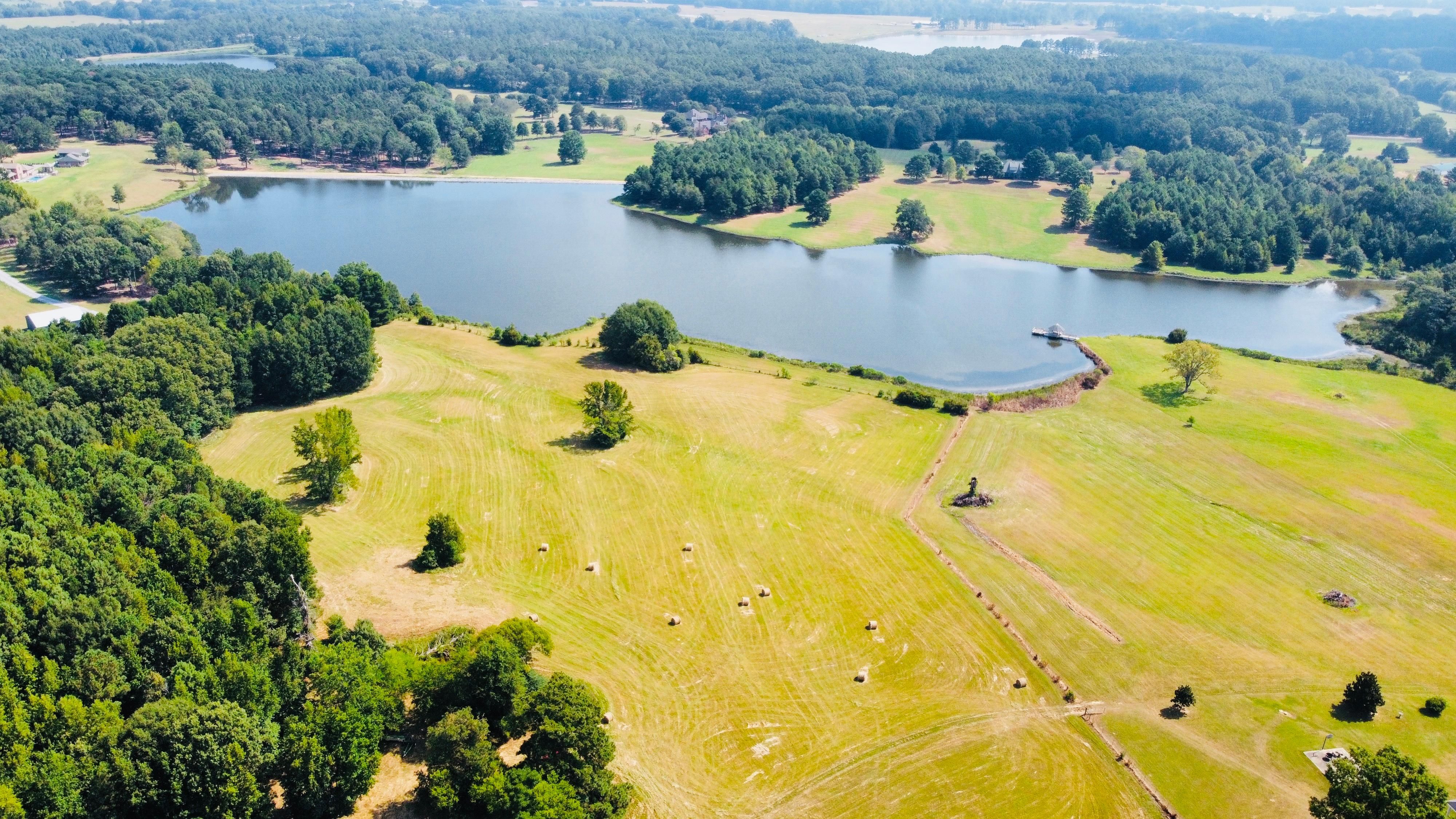 Flora, Madison County, MS Timberland Property, Undeveloped Land for