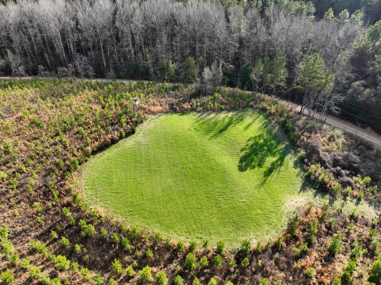 Beaverton, Lamar County, AL Recreational Property, Timberland Property