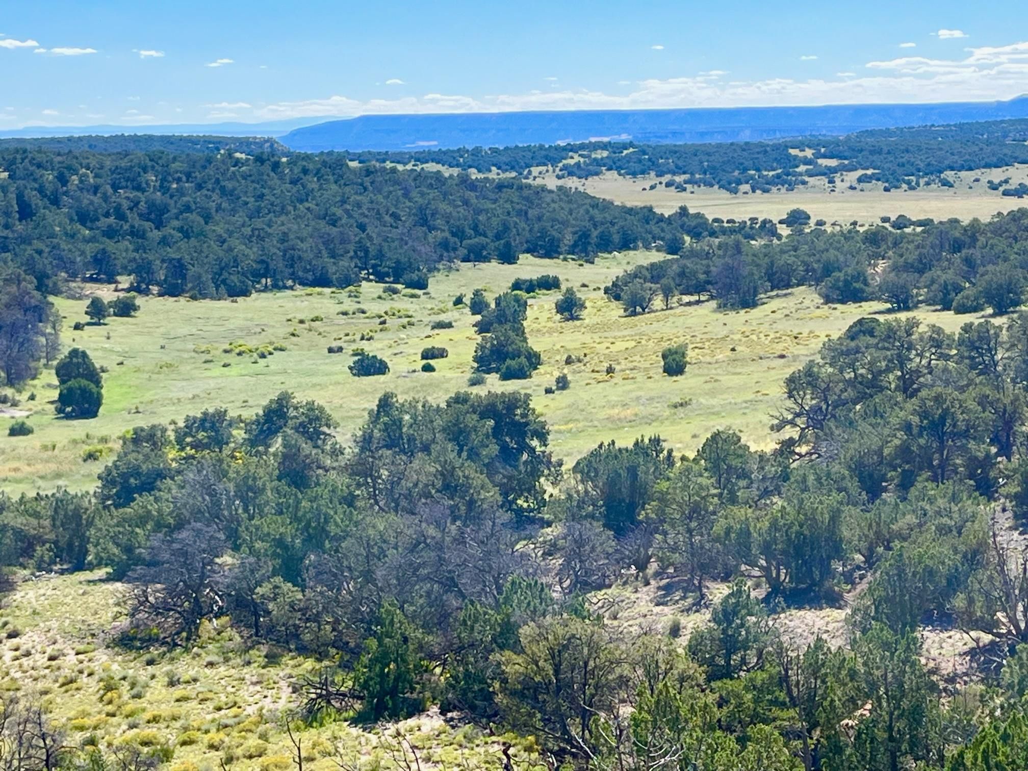 Fence Lake, Cibola County, NM Undeveloped Land, Hunting Property for