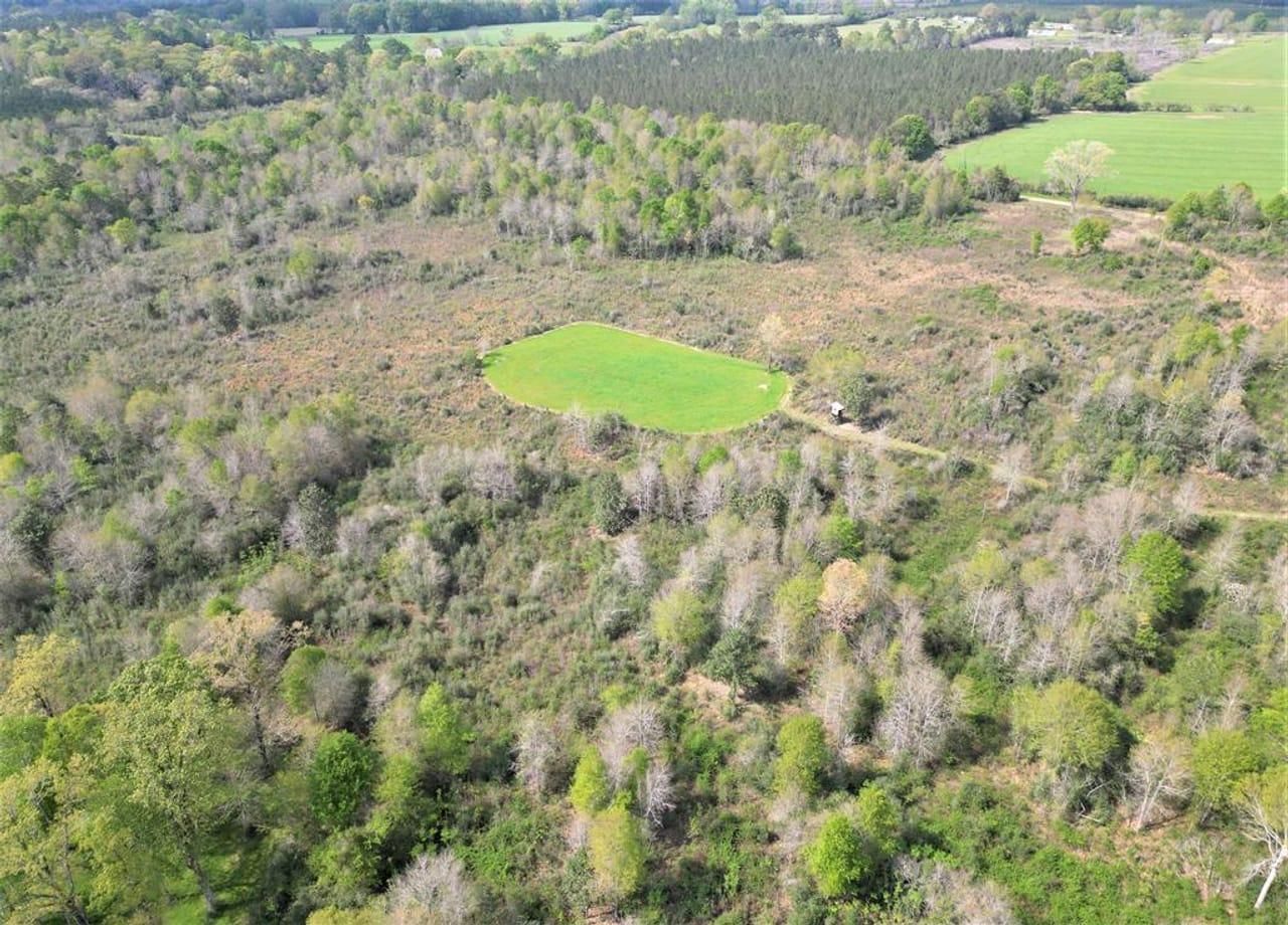 Tylertown, Walthall County, MS Recreational Property, Timberland