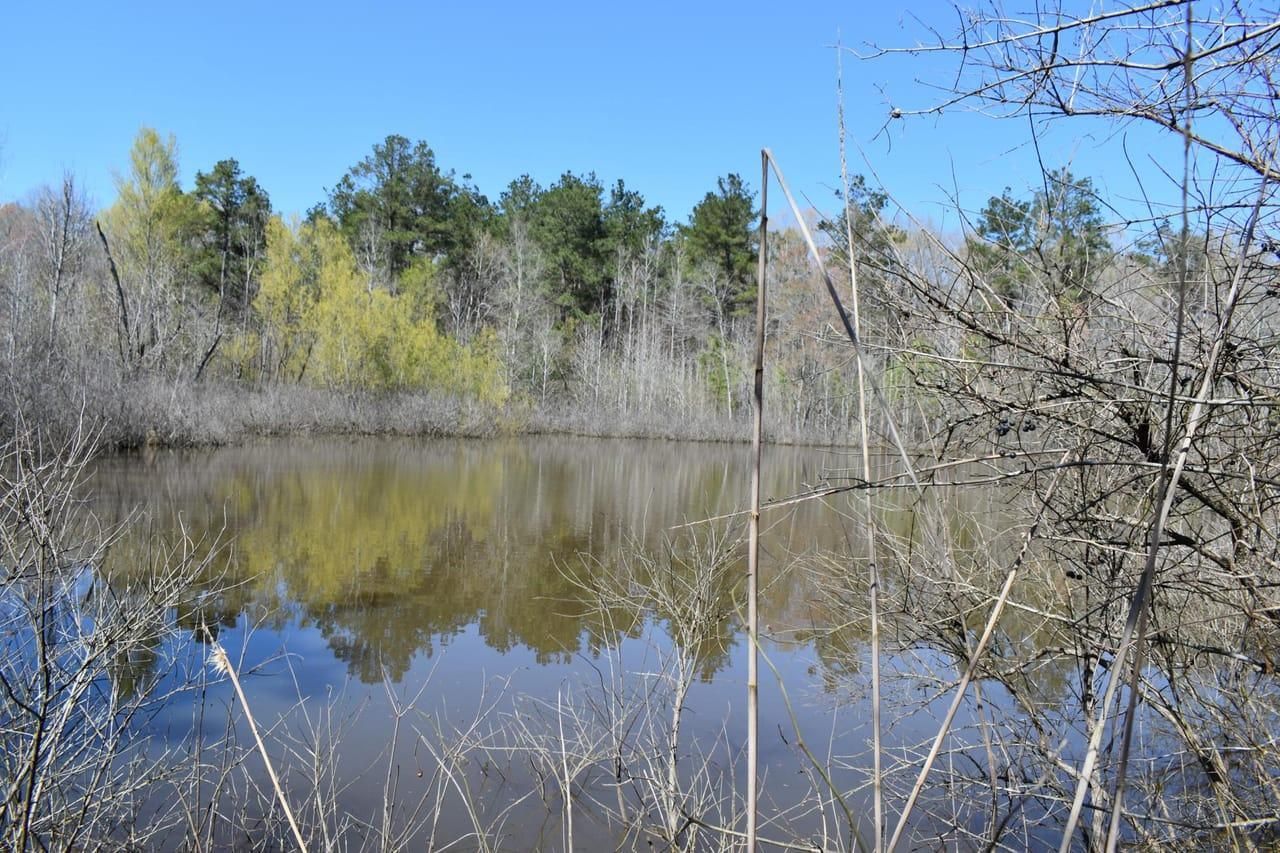 Prescott, Nevada County, AR Recreational Property, Timberland Property