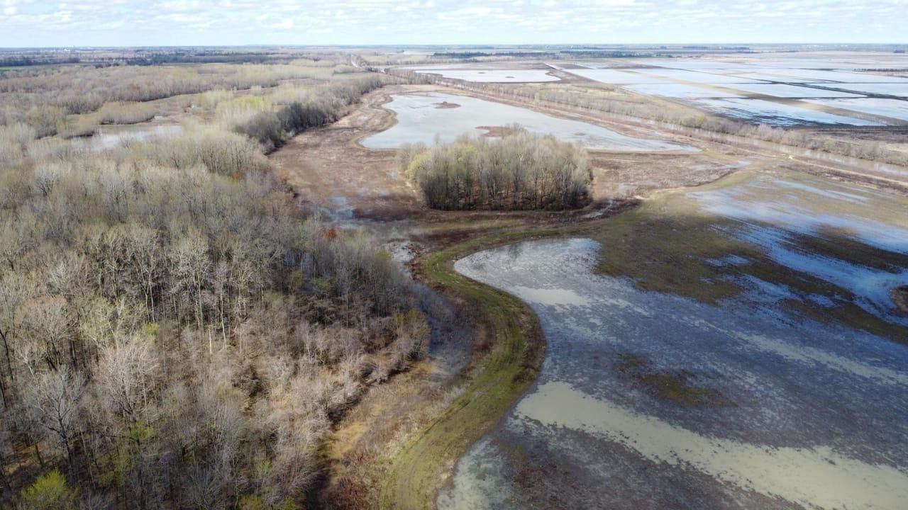 New Madrid, New Madrid County, MO Recreational Property, Hunting Property for sale Property ID