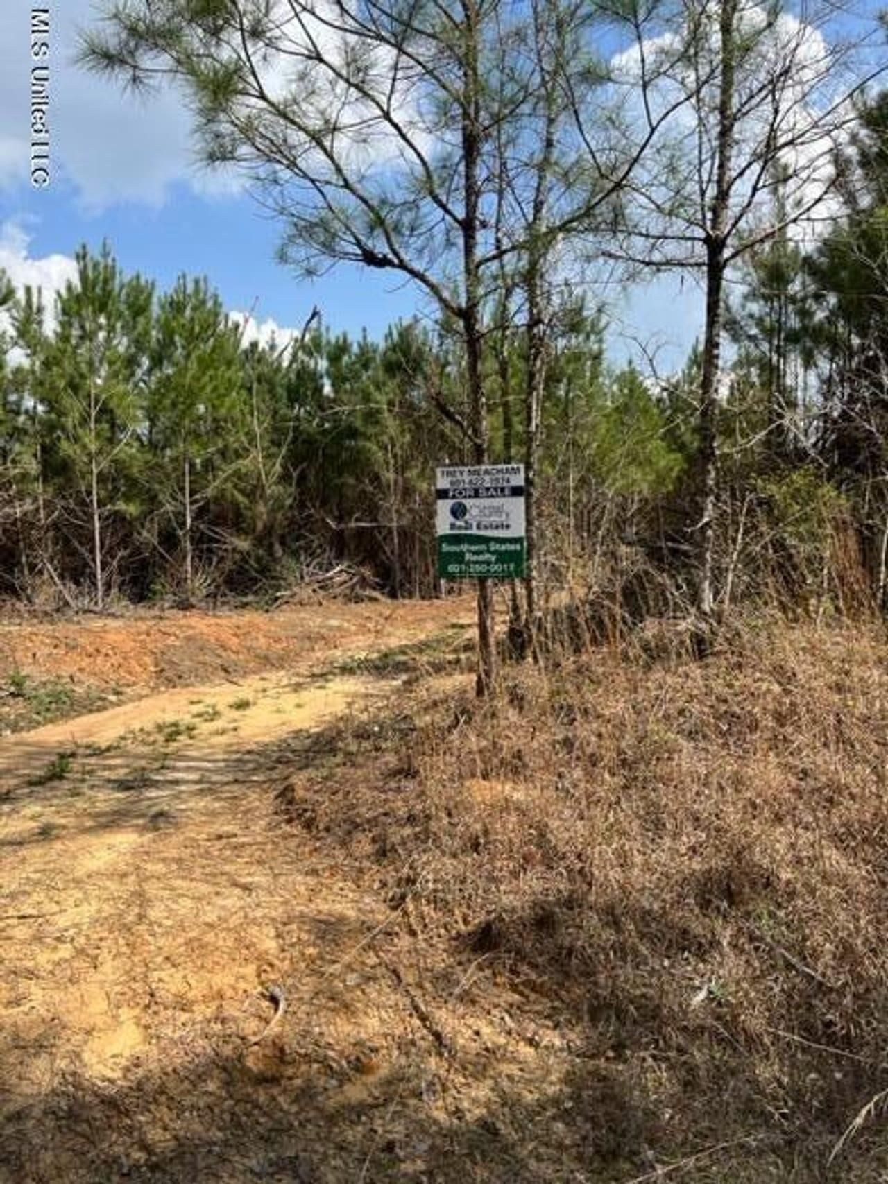 Camden, Madison County, MS Recreational Property, Timberland Property