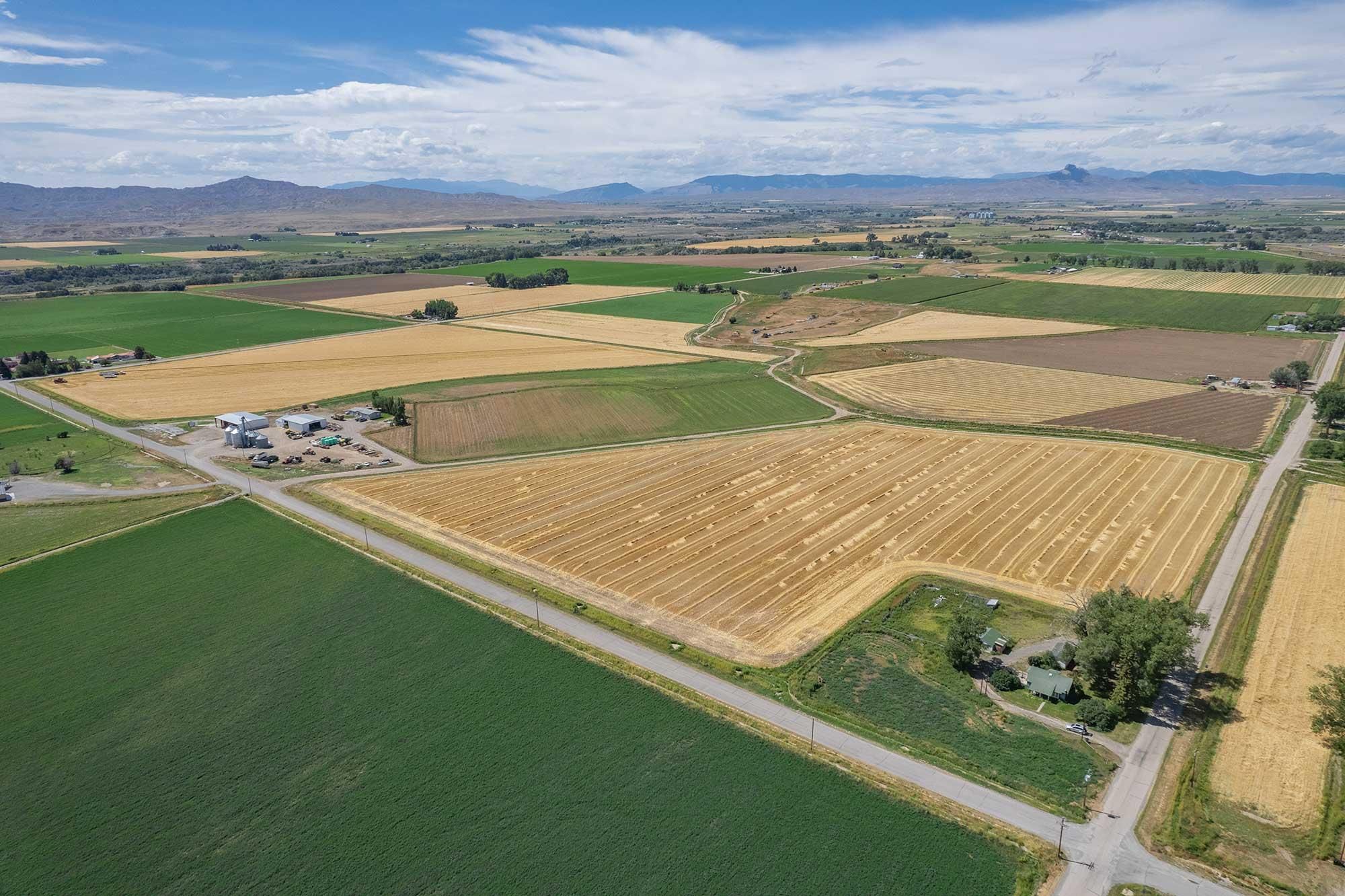 Powell, Park County, WY Farms and Ranches, House for sale Property ID