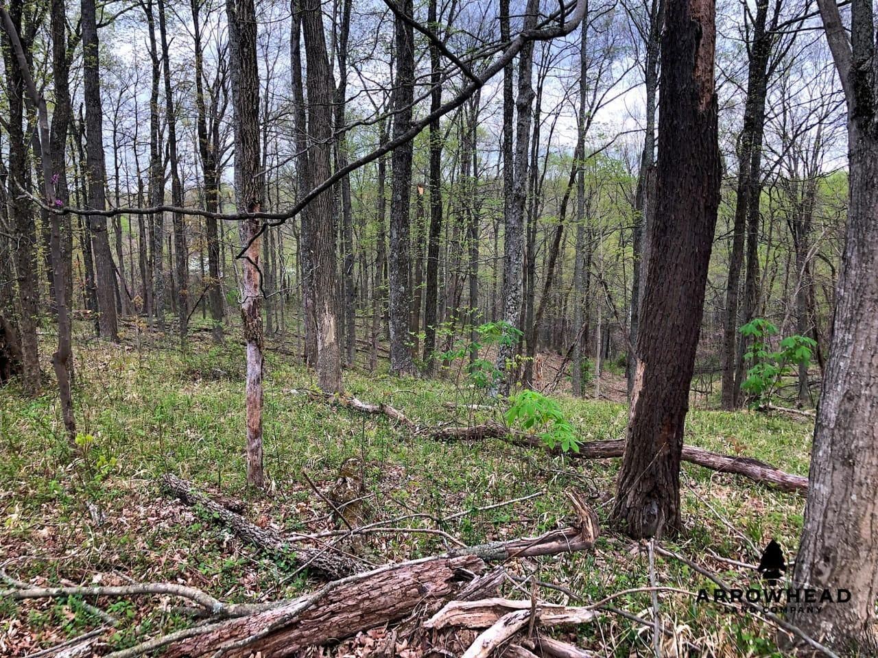 Patriot, Gallia County, OH Recreational Property, Timberland Property