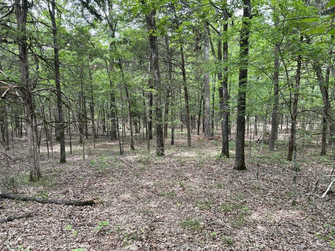 Mountain View, Stone County, AR Recreational Property, Undeveloped Land, Hunting Property for