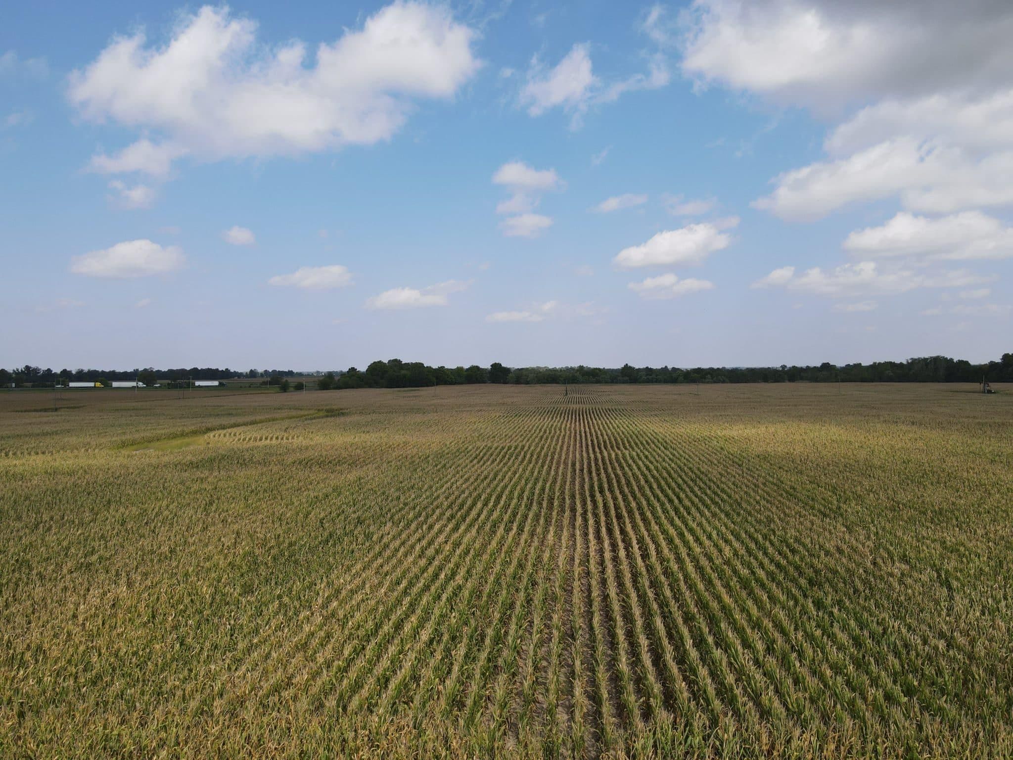 000 County Rd 1850 E, Brownstown, IL 62418 LandWatch