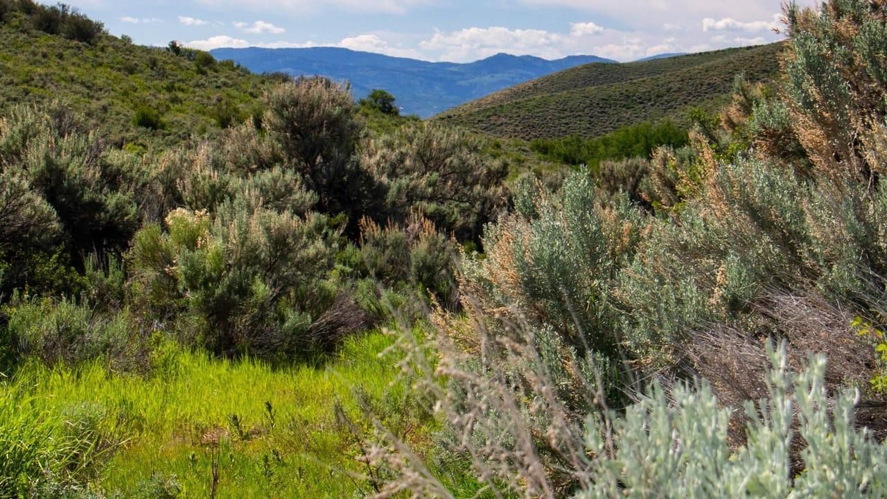 Laketown, Rich County, UT Recreational Property, Undeveloped Land