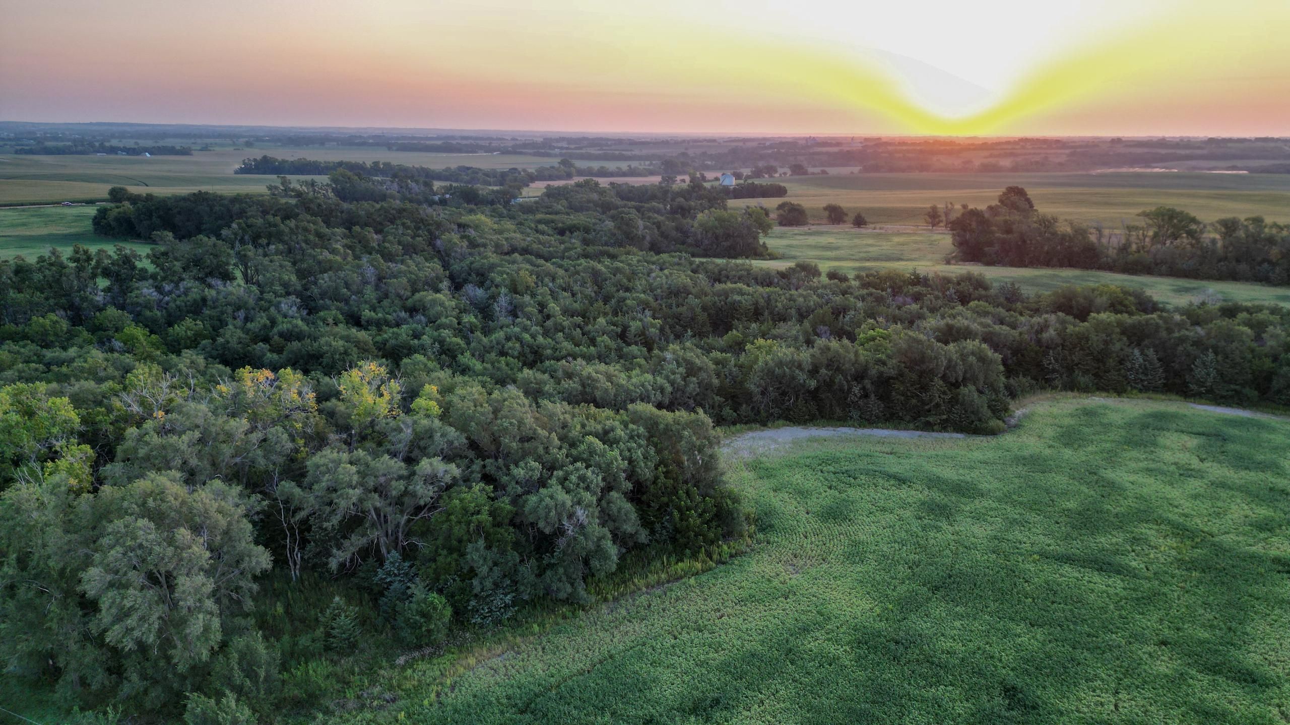 Battle Creek, Madison County, NE Farms and Ranches, Recreational Property, Undeveloped Land for