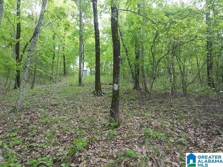 Remlap, Blount County, AL Undeveloped Land for sale Property ID