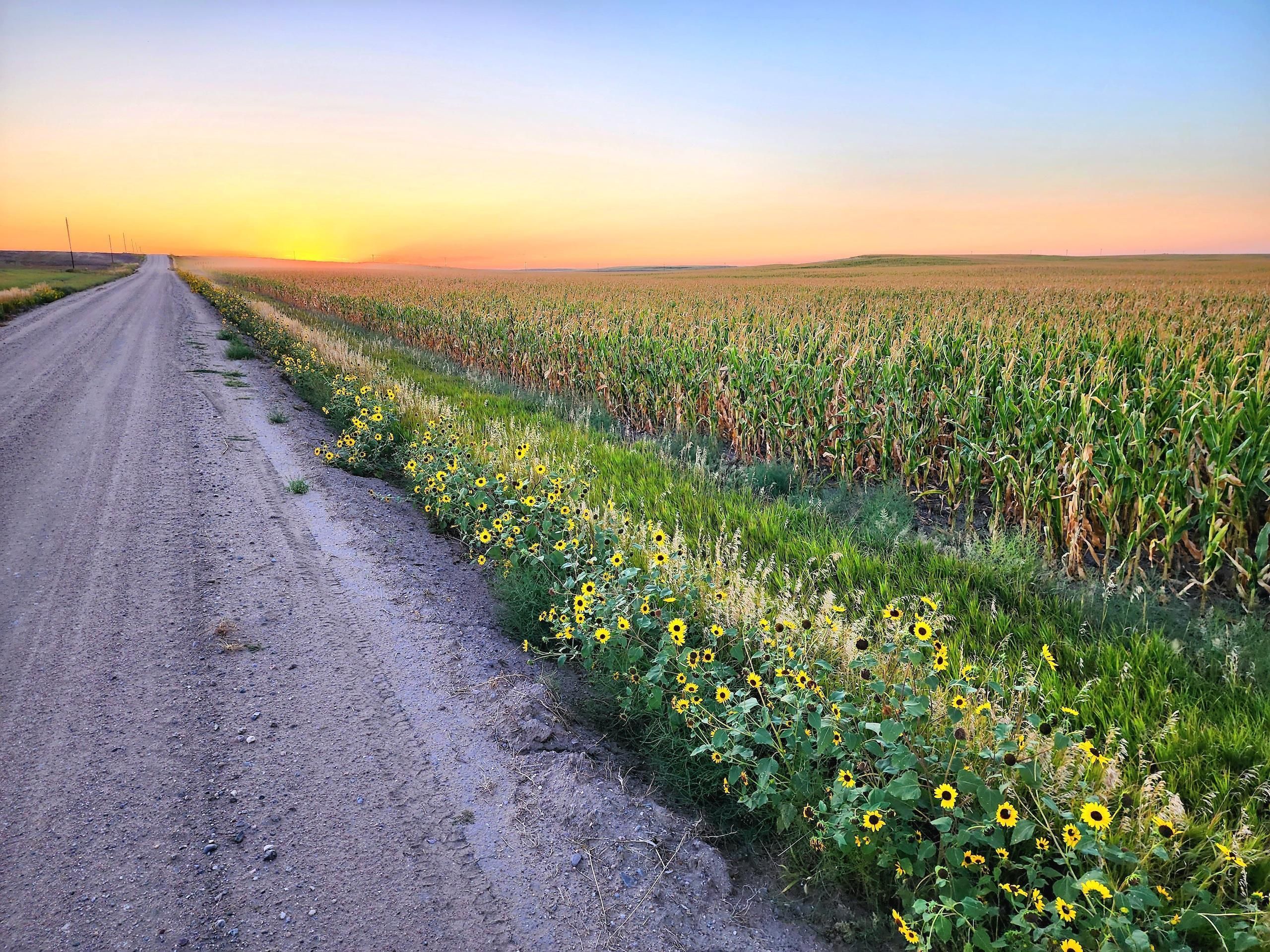Potter, Cheyenne County, NE Farms and Ranches, Recreational Property