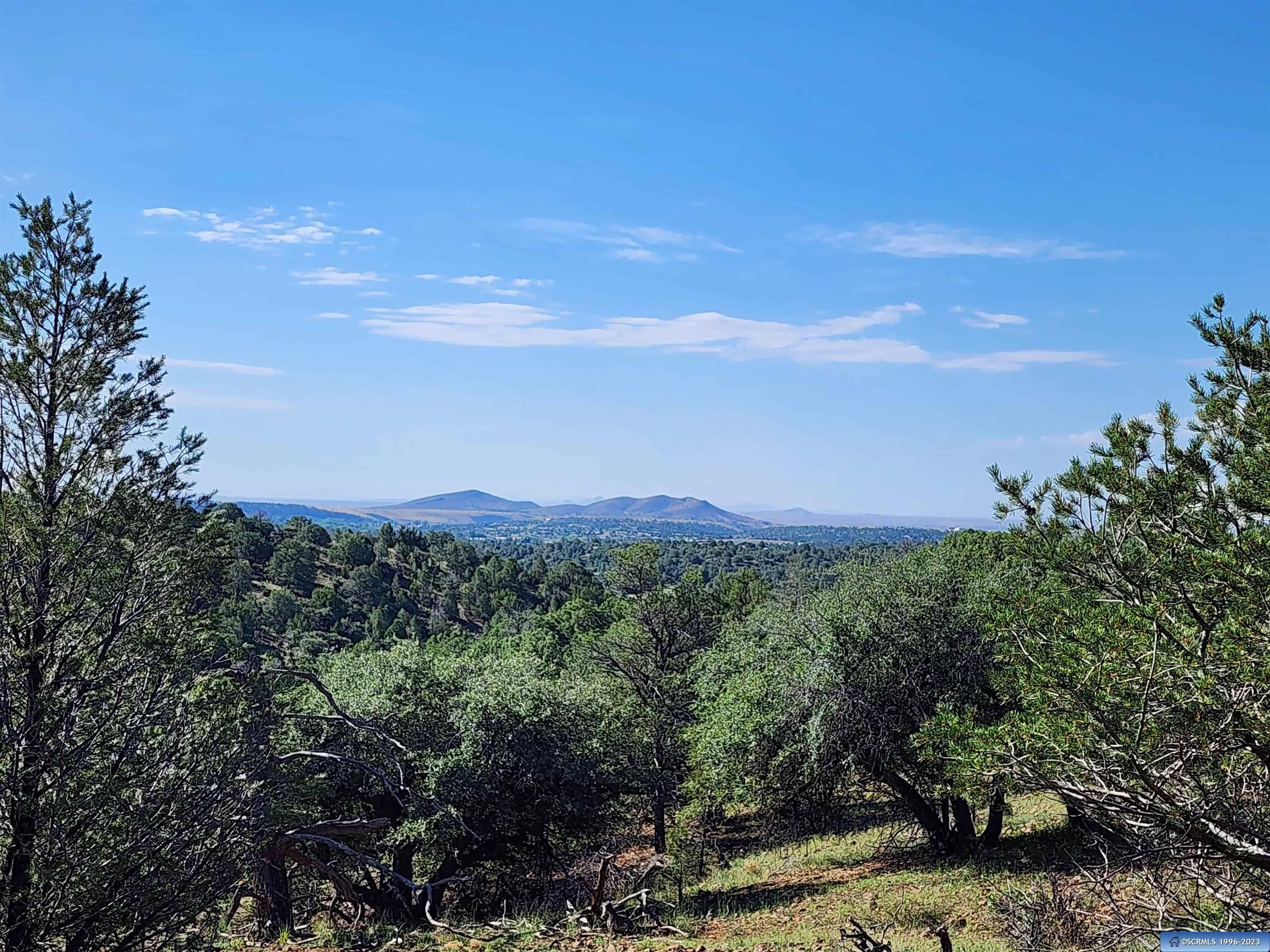 Arenas Valley, Grant County, NM Undeveloped Land for sale Property ID