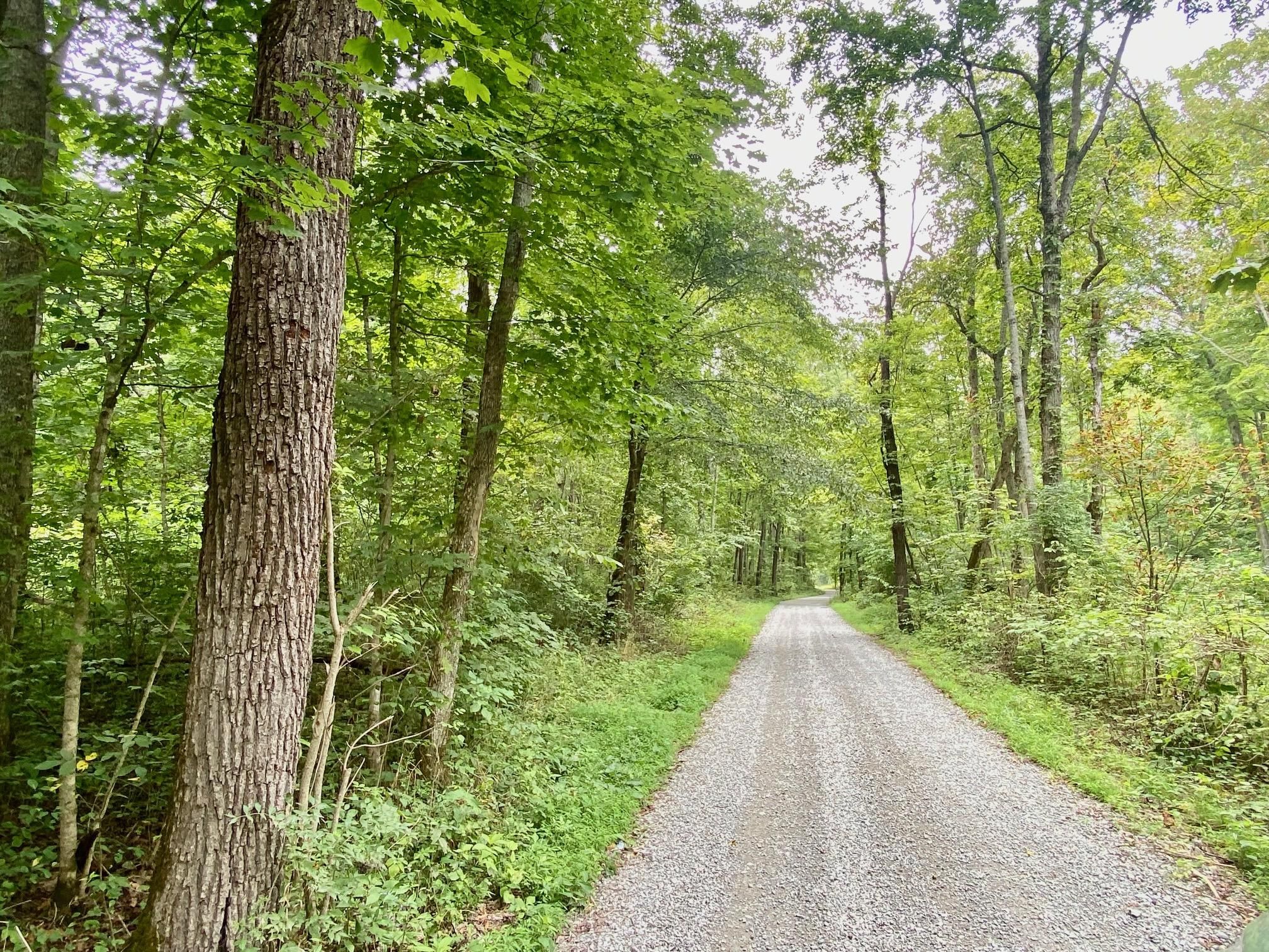 Robinson Hollow Road, West Union, OH 45693 MLS 1780000 LandWatch