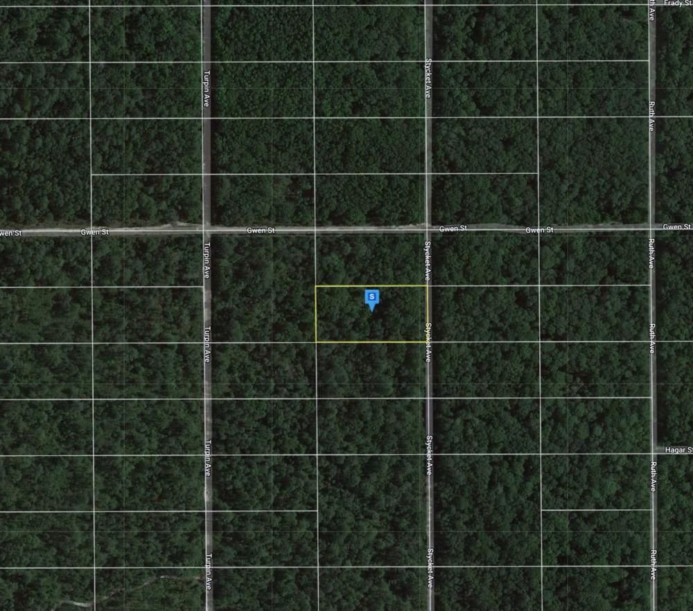 Hastings, Flagler County, FL Undeveloped Land, Homesites for sale