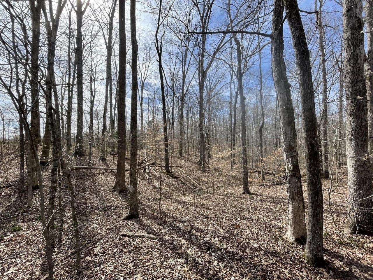 Centerville, Hickman County, TN Recreational Property, Undeveloped Land