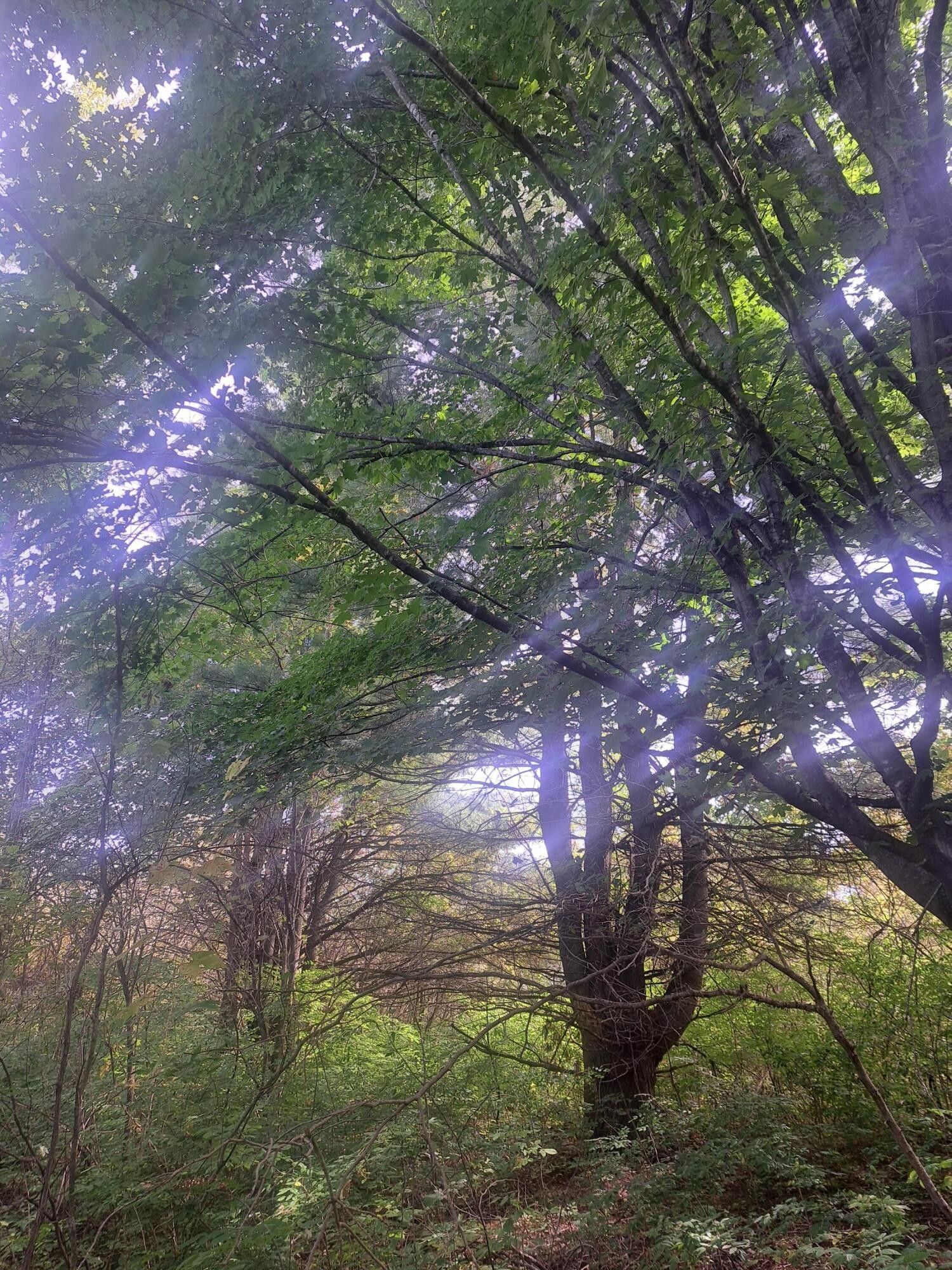 Fort Covington, Franklin County, NY Undeveloped Land for sale Property