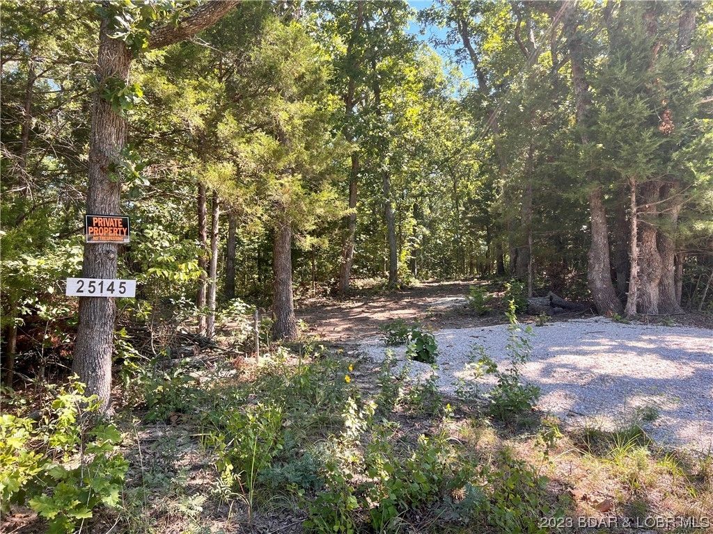 Rocky Mount, County, MO Undeveloped Land for sale Property ID